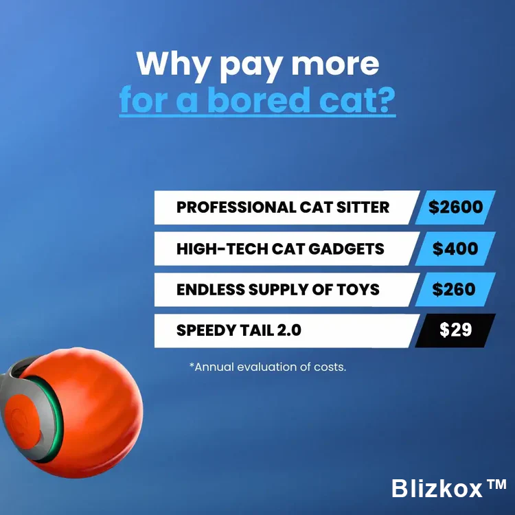 Blizkox™ SPEEDY TAIL 2.0 – Built to Chase. Made to Love. Watch Your Cat Go Wild.