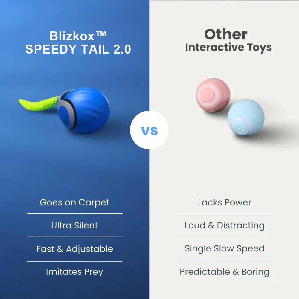 Blizkox™ SPEEDY TAIL 2.0 – Built to Chase. Made to Love. Watch Your Cat Go Wild.