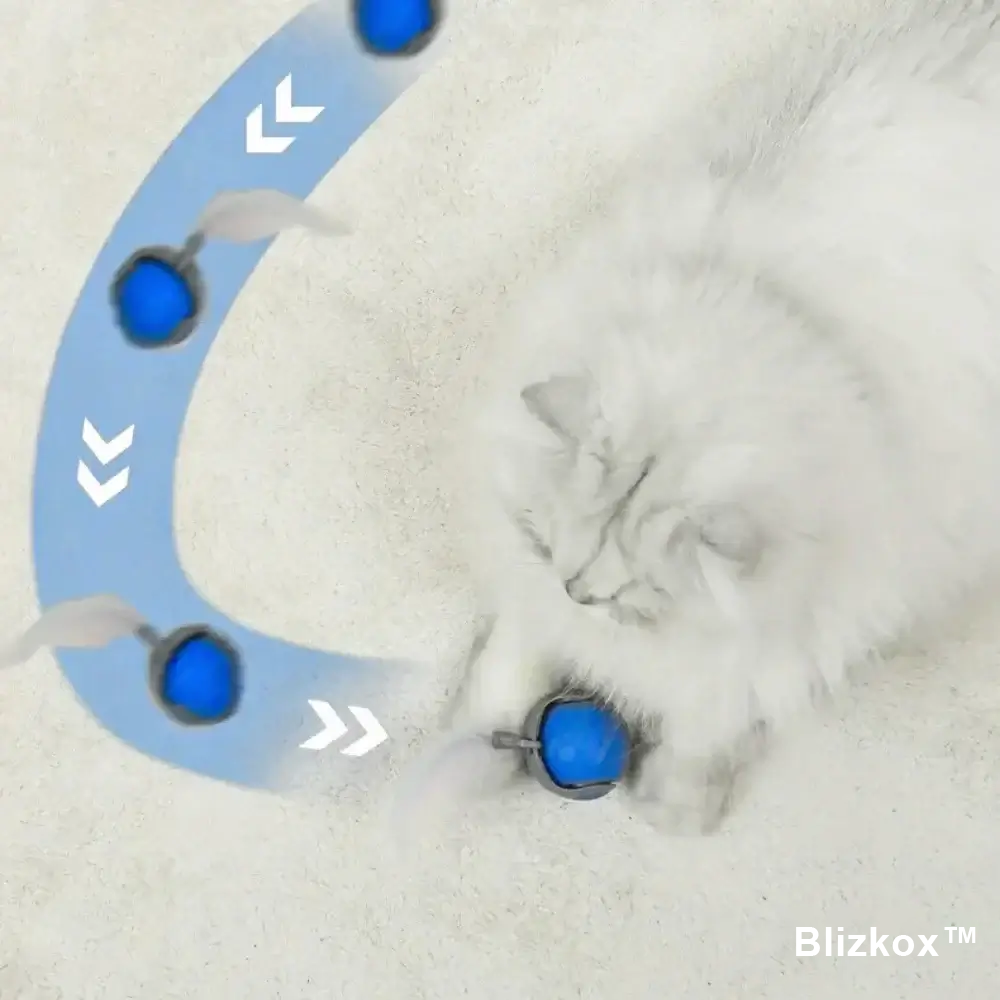Blizkox™ SPEEDY TAIL 2.0 – Built to Chase. Made to Love. Watch Your Cat Go Wild.