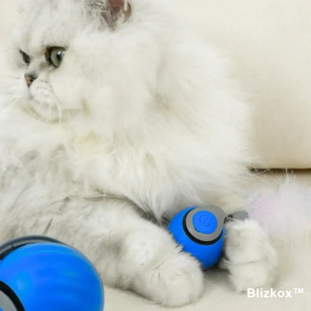 Blizkox™ SPEEDY TAIL 2.0 – Built to Chase. Made to Love. Watch Your Cat Go Wild.