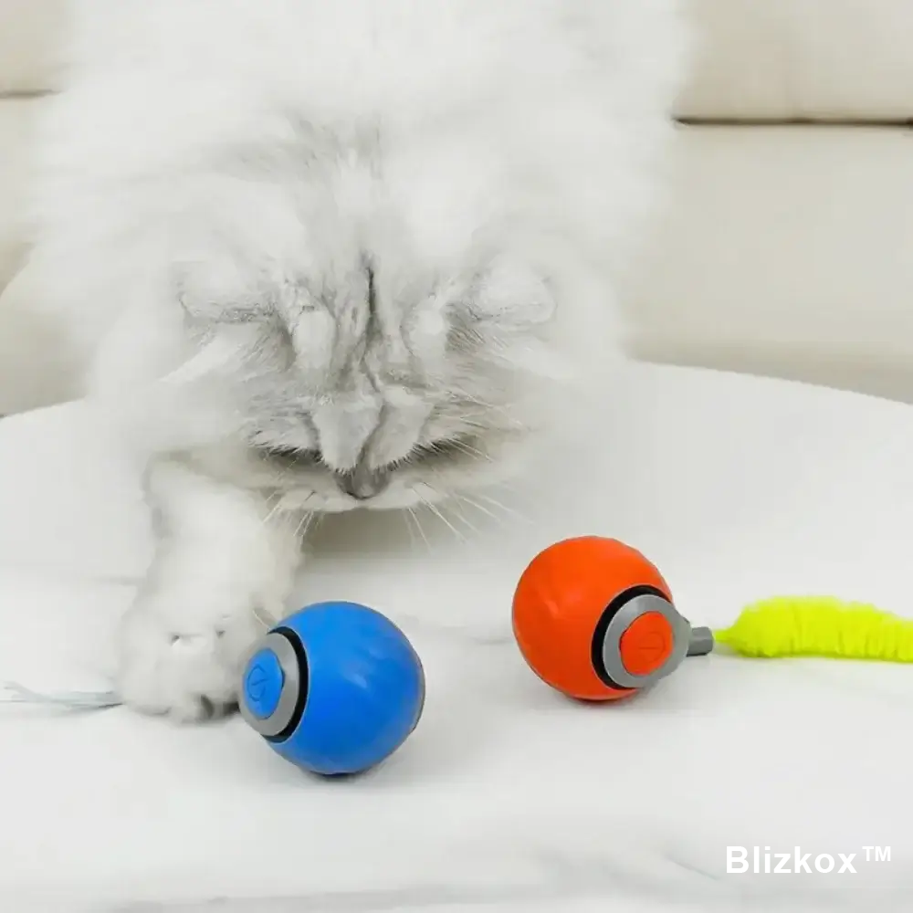 Blizkox™ SPEEDY TAIL 2.0 – Built to Chase. Made to Love. Watch Your Cat Go Wild.