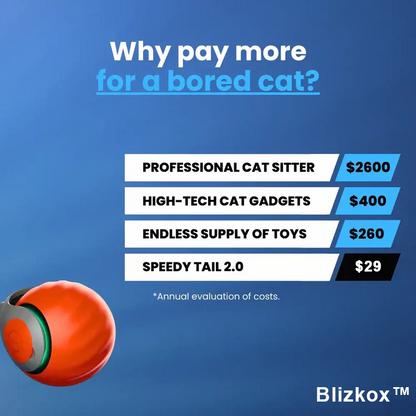 Blizkox™ SPEEDY TAIL 2.0 – Built to Chase. Made to Love. Watch Your Cat Go Wild.