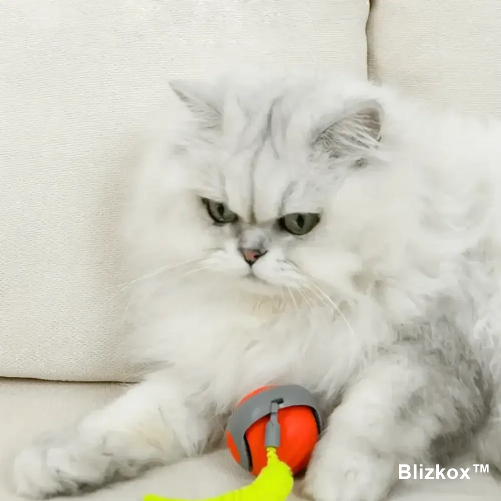 Blizkox™ SPEEDY TAIL 2.0 – Built to Chase. Made to Love. Watch Your Cat Go Wild.