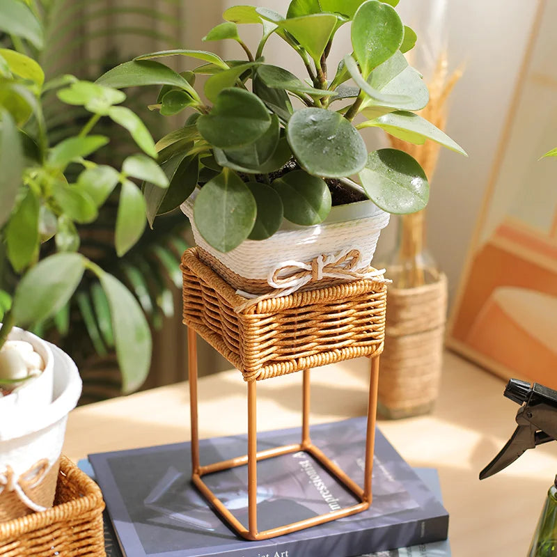 Indoor Rotating Plant Shelf – Metal Frame for Potted Plants